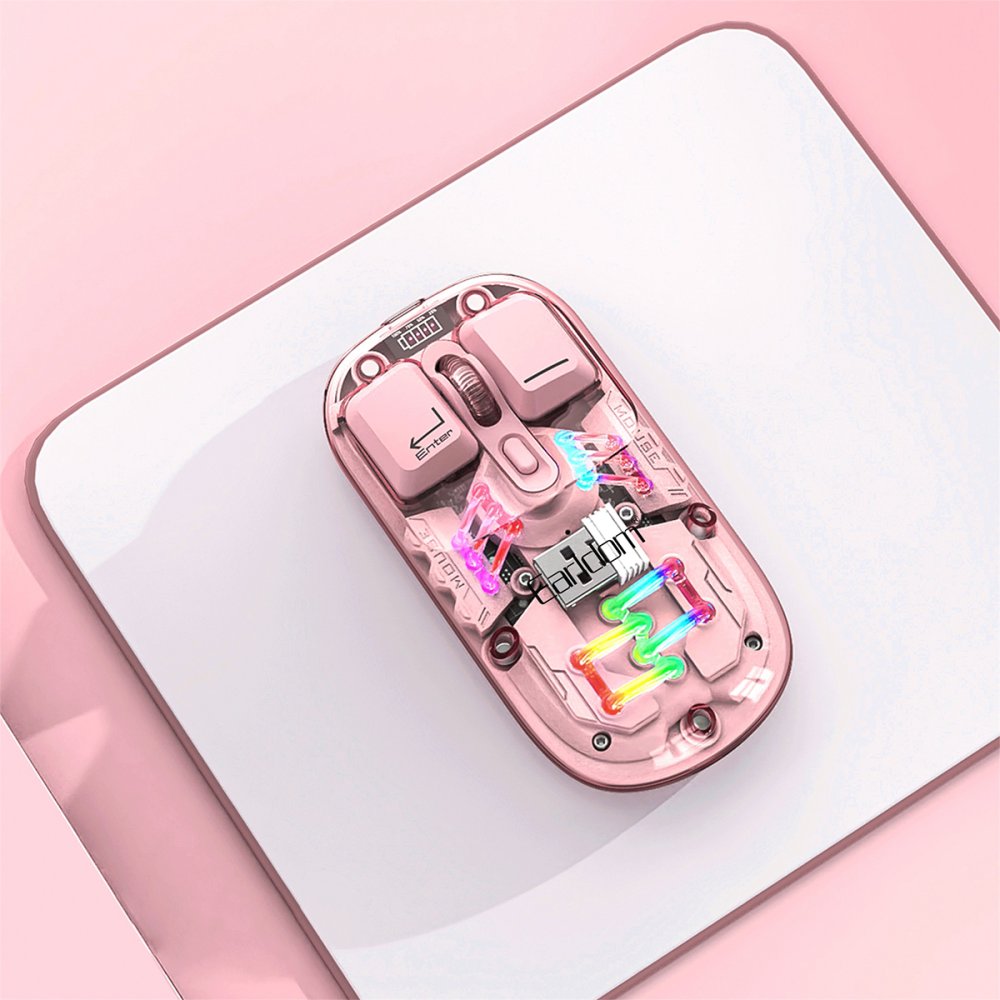 Earldom KM16 1600 DPI Sessiz Transparan Yapılı RGB Kablosuz Ofis Mouse - Pembe
