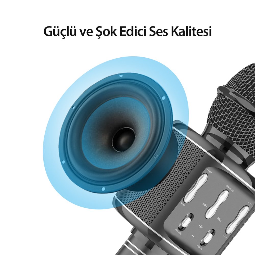 Earldom MC2 Led Işıklı Karaoke Mikrofon - Siyah