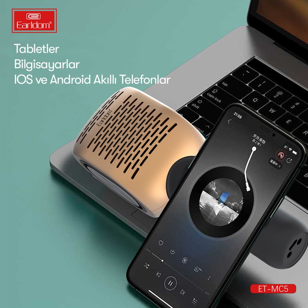 Earldom MC5 Karaoke Mikrofon - Gold