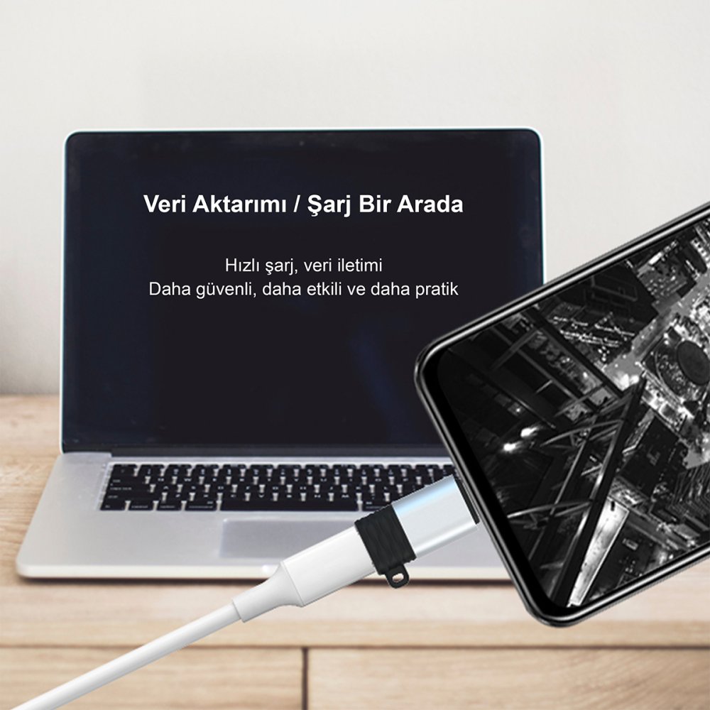 Earldom TC12 Tak Çalıştır Type-C to Lightning Dönüştürücü - Gümüş