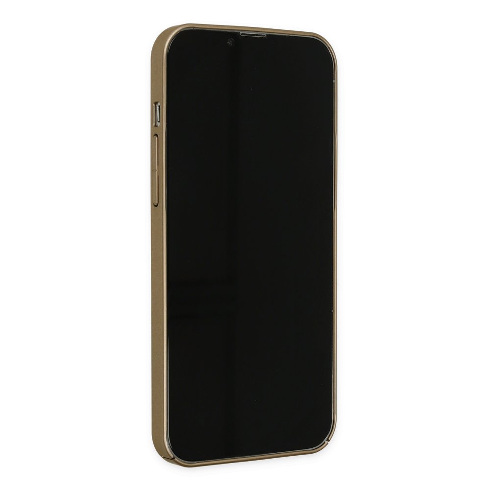 Newface iPhone 11 Kılıf Jack Magneticsafe Lens Silikon - Gold