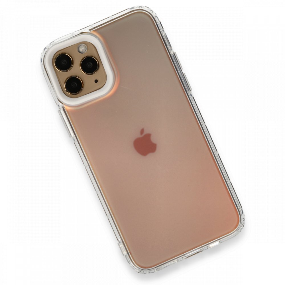 Newface iPhone 11 Pro Kılıf Valensiya Silikon - Gradient