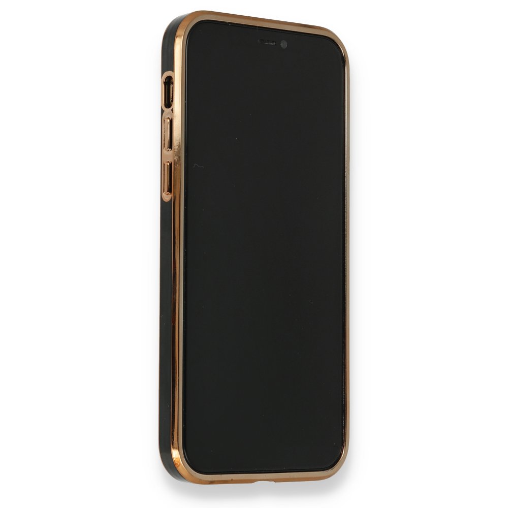 Newface iPhone 12 Pro Kılıf Liva Silikon - Siyah