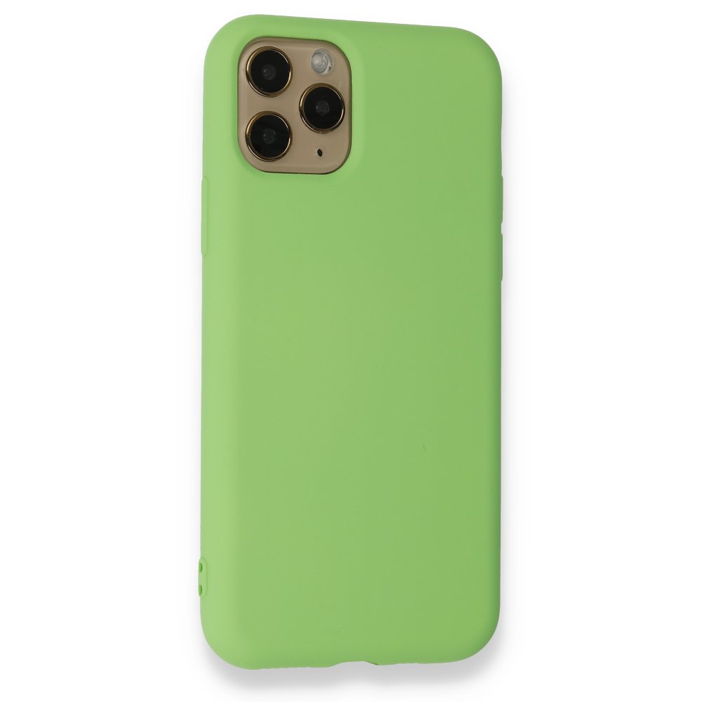 Newface iPhone 11 Pro Kılıf Nano içi Kadife  Silikon - Yeşil
