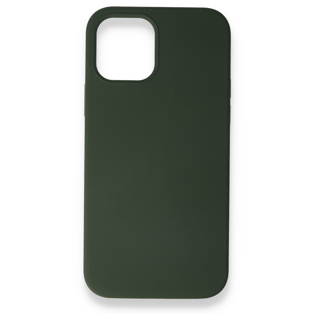Newface iPhone 12 Mini Kılıf Magneticsafe Lansman Silikon Kapak - Yeşil