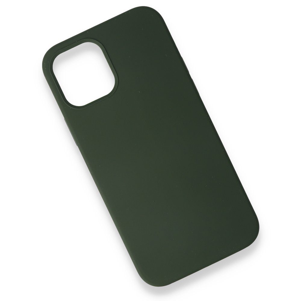 Newface iPhone 12 Mini Kılıf Magneticsafe Lansman Silikon Kapak - Yeşil