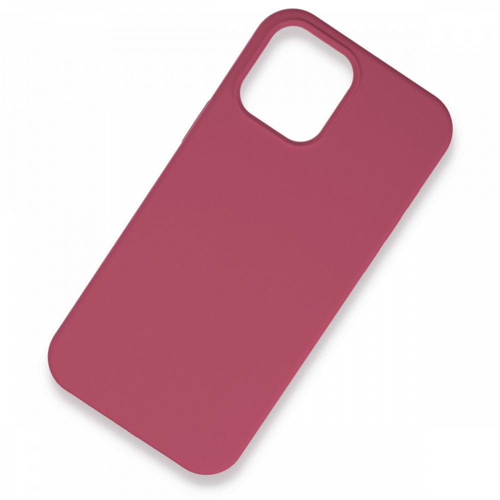 Newface iPhone 12 Pro Max Kılıf Lansman Legant Silikon - Açık Mavi