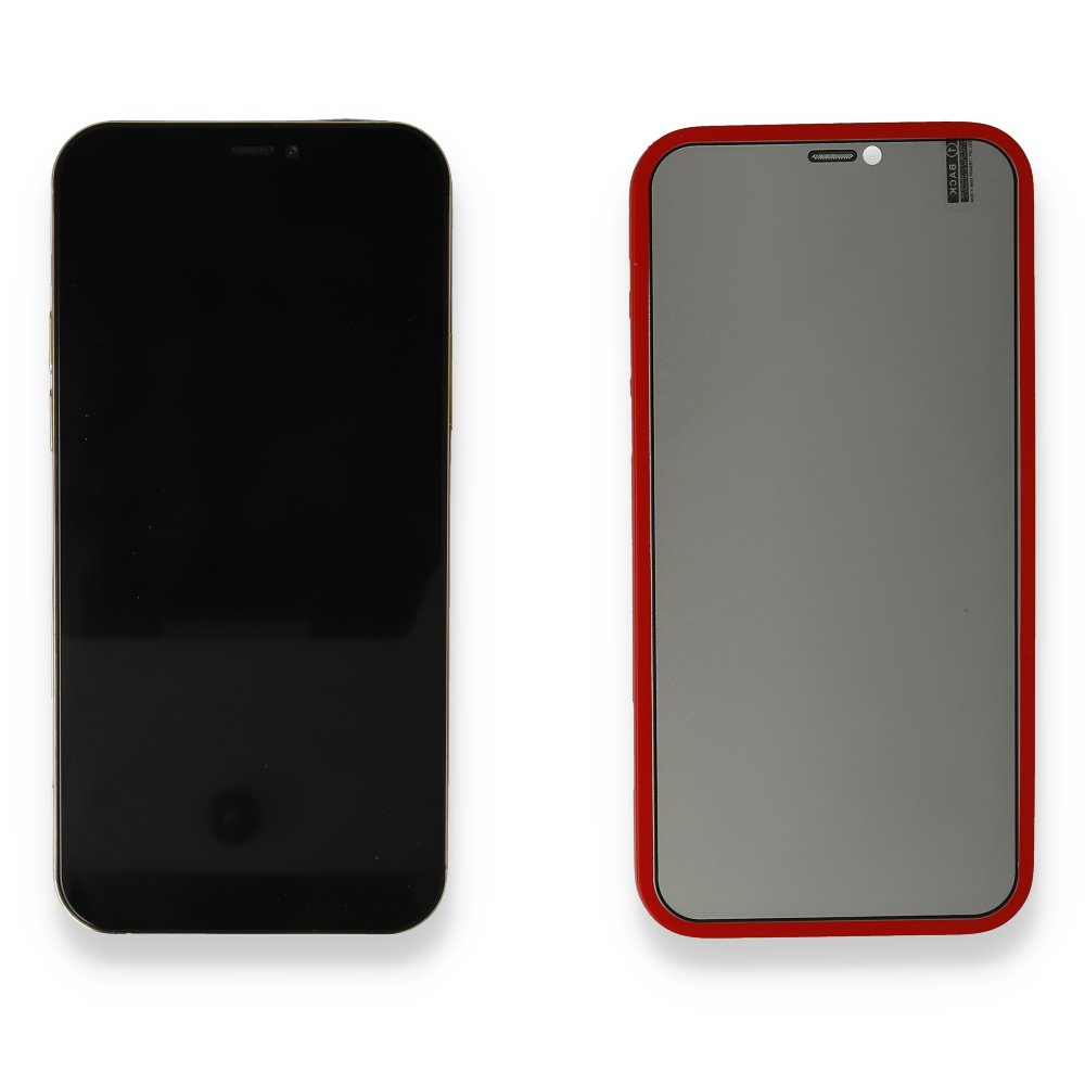 Newface iPhone 12 Pro Max Kılıf 360 Hayalet Full Body Silikon Kapak - Kırmızı
