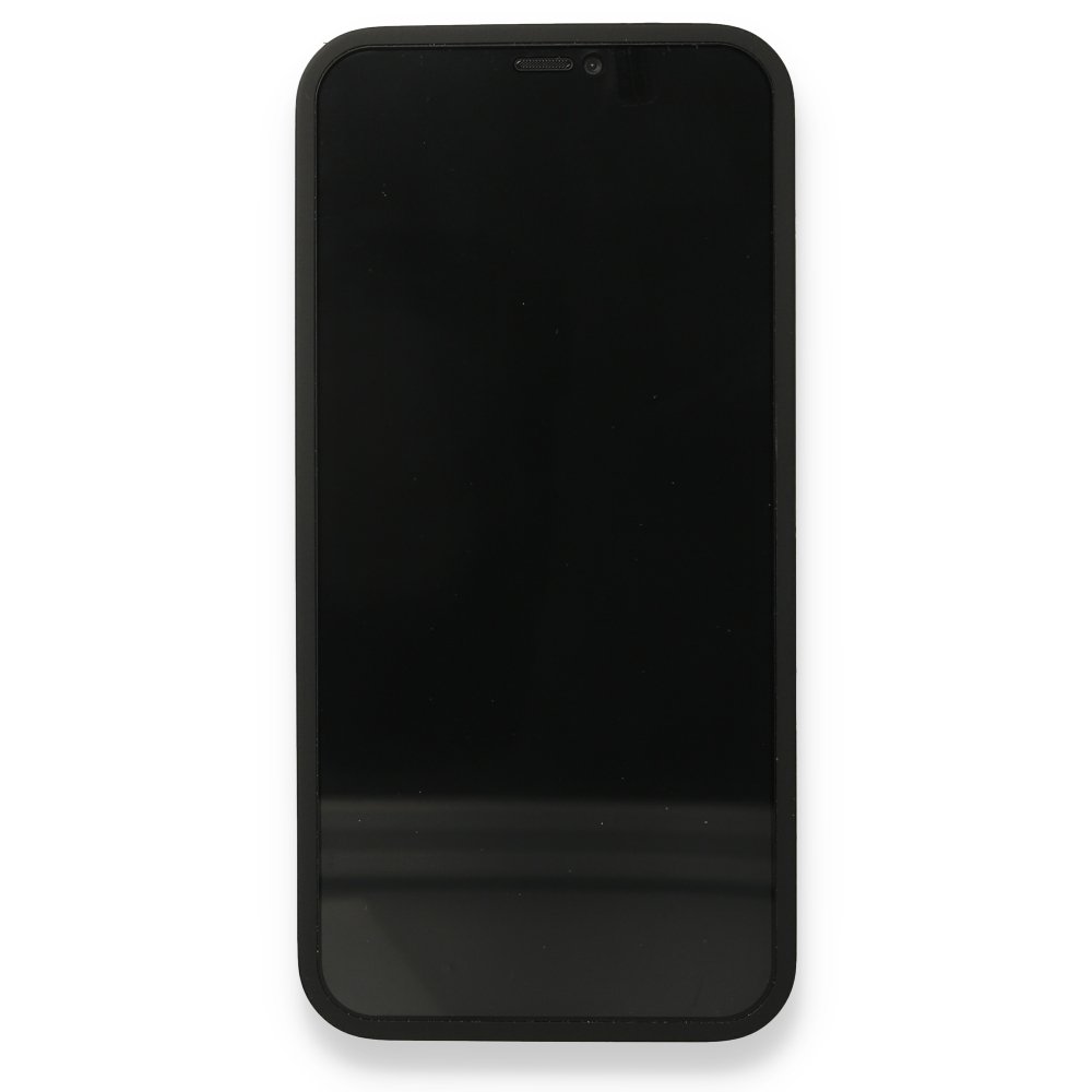Newface iPhone 12 Pro Max Kılıf 360 Hayalet Full Body Silikon Kapak - Siyah