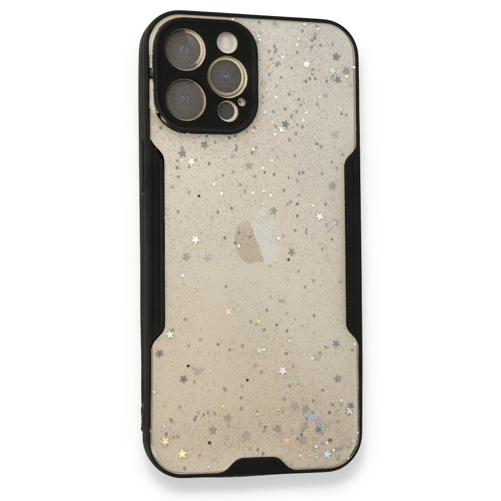 Newface iPhone 12 Pro Max Kılıf Platin Simli Silikon - Siyah