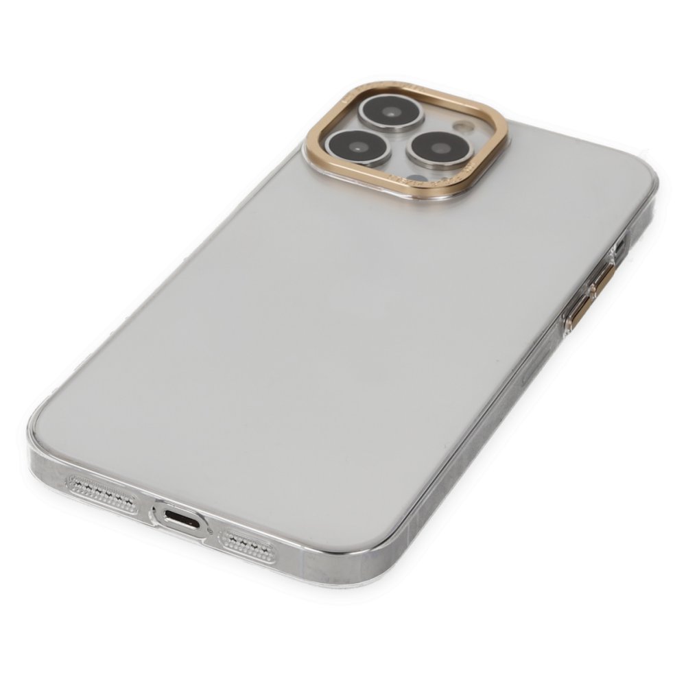 Newface iPhone 13 Pro Max Kılıf Anka PC Sert Metal Kapak - Şeffaf