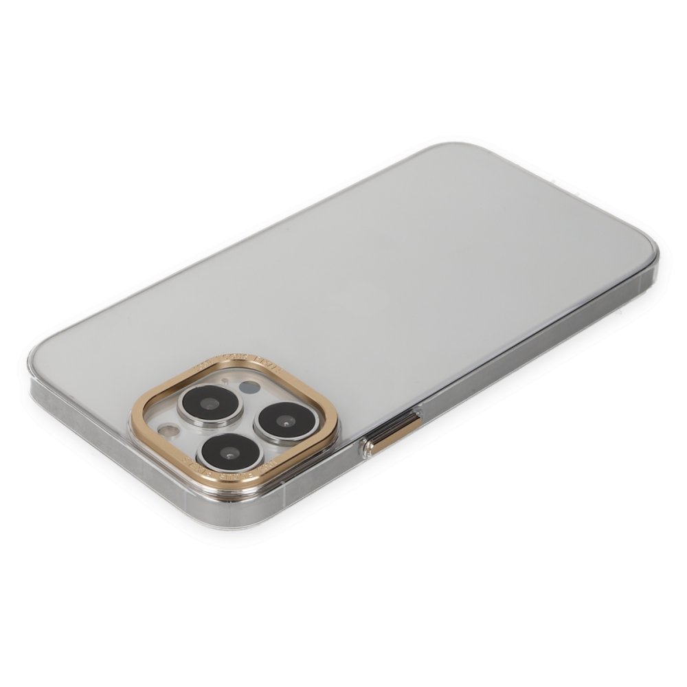 Newface iPhone 13 Pro Max Kılıf Anka PC Sert Metal Kapak - Şeffaf