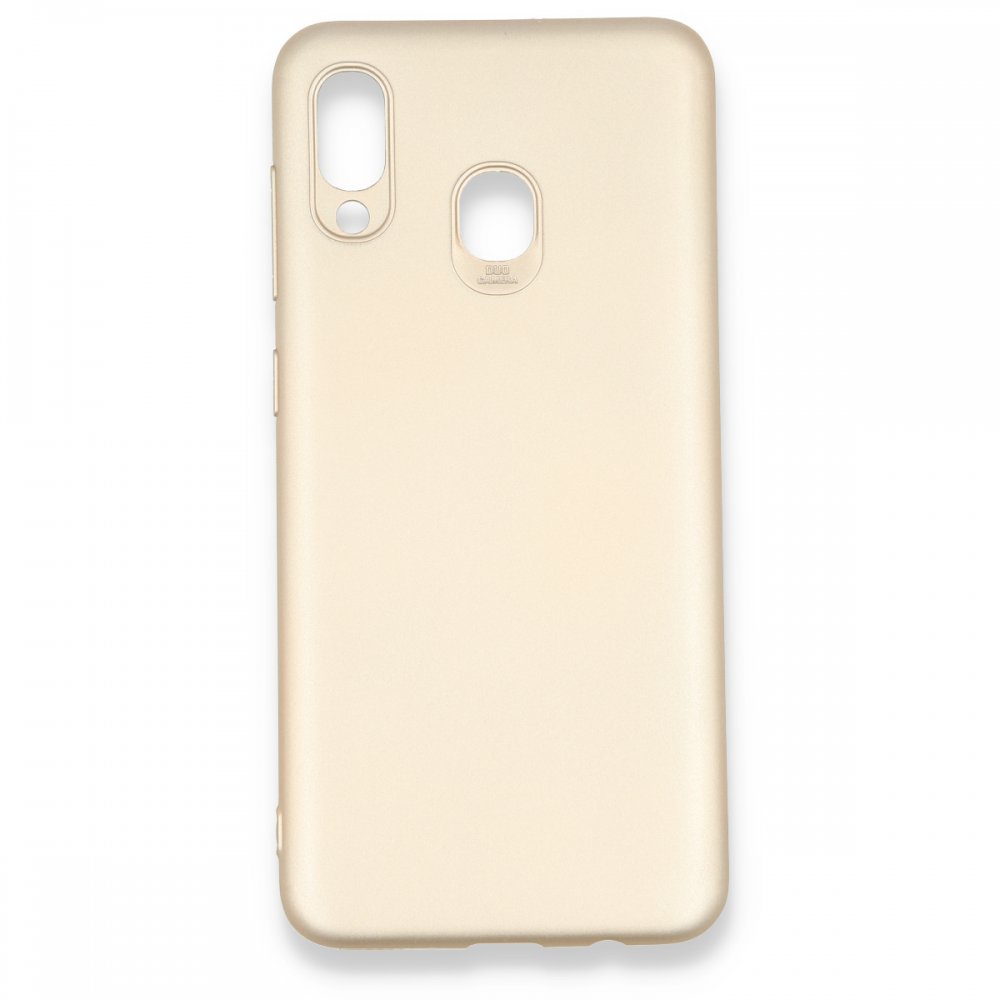 Newface Samsung Galaxy A20 Kılıf First Silikon - Gold