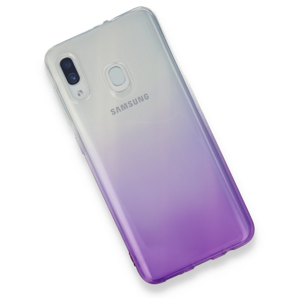 Newface Samsung Galaxy A20 Kılıf Lüx Çift Renkli Silikon - Mor