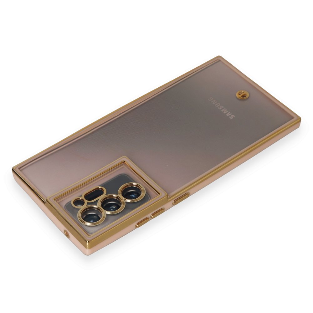 Newface Samsung Galaxy Note 20 Ultra Kılıf Liva Lens Silikon - Pudra