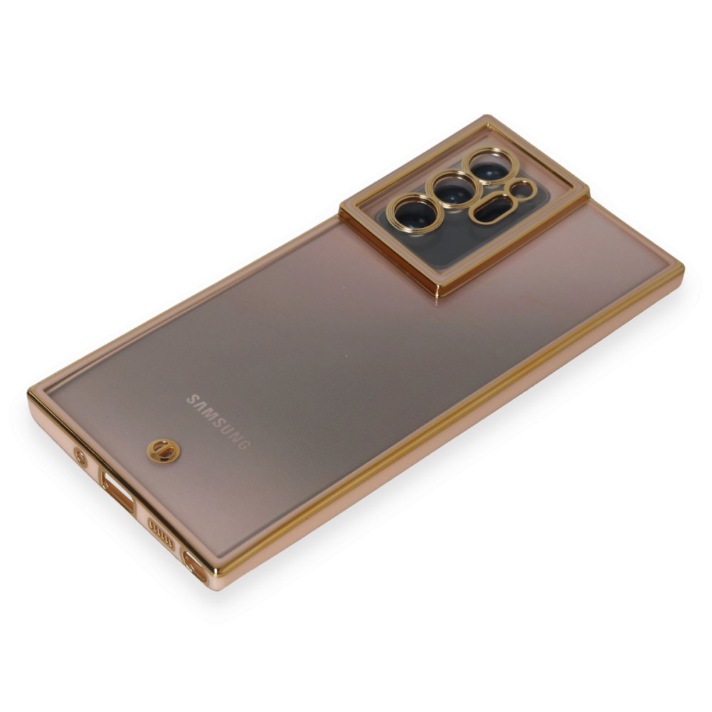 Newface Samsung Galaxy Note 20 Ultra Kılıf Liva Lens Silikon - Pudra