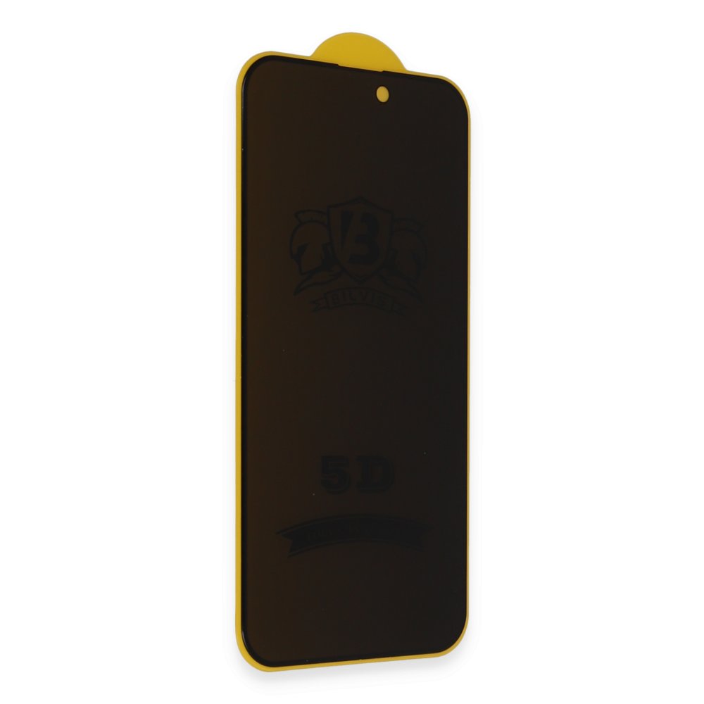 Newface Samsung Galaxy S24 Bilvis 3D Hayalet Cam Ekran Koruyucu