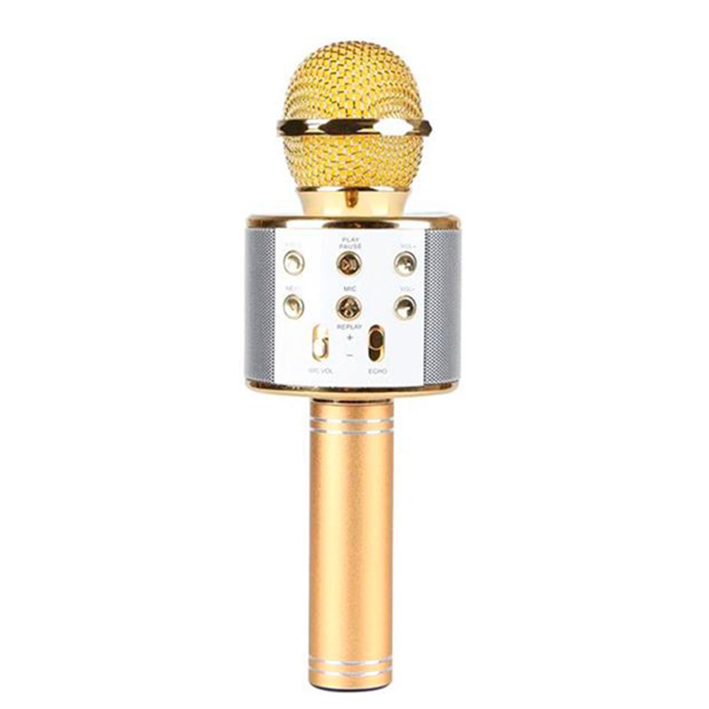 Newface WS858 Karaoke Mikrofon - Gold