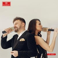 Earldom MC5 Karaoke Mikrofon - Gold