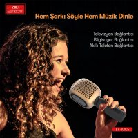 Earldom MC5 Karaoke Mikrofon - Gold