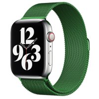 Newface Apple Watch 41mm Metal Mıknatıslı Kordon - Yeşil