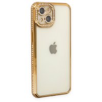 Newface iPhone 13 Kılıf Joke Taşlı Silikon - Gold