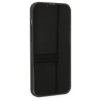 Newface iPhone 13 Pro Max Kılıf Jack Magneticsafe Lens Silikon - Siyah