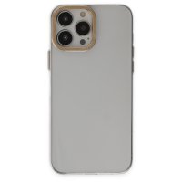 Newface iPhone 14 Pro Kılıf Anka PC Sert Metal Kapak - Şeffaf
