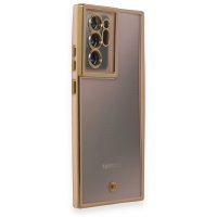 Newface Samsung Galaxy Note 20 Ultra Kılıf Liva Lens Silikon - Pudra