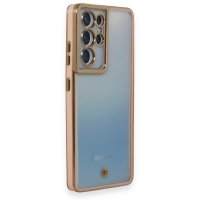 Newface Samsung Galaxy S21 Ultra Kılıf Liva Lens Silikon - Pudra