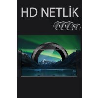 Newface Samsung Galaxy S24 Ultra Valdez Metal Kamera Lens - Gümüş