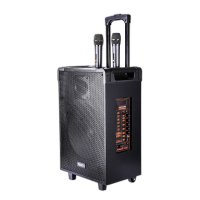 Yesido YSW16 2 Adet Mikrofonlu 12inch 300mm Sürücülü 5000 mAh Bataryalı Kablosuz Hoparlör - Siyah