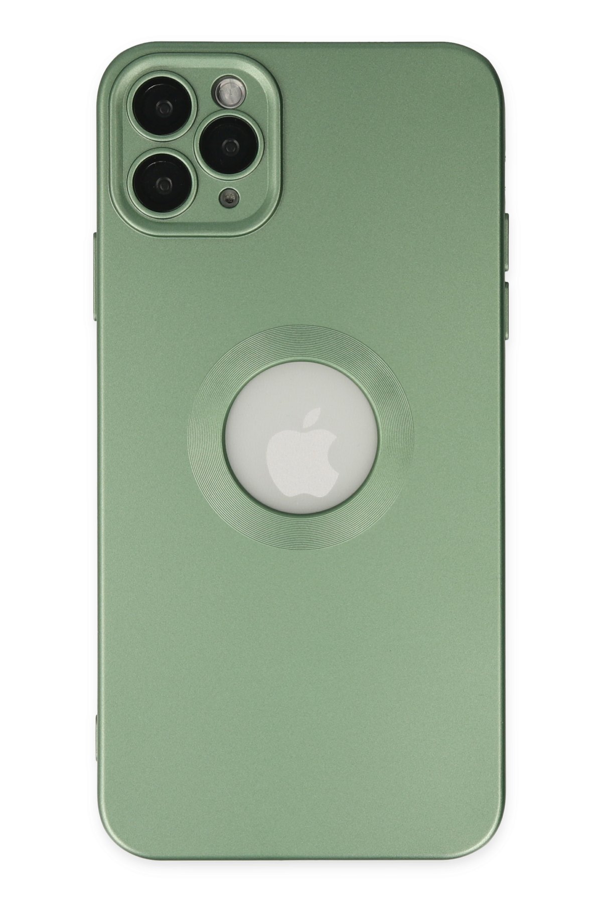 Newface iPhone 11 Pro Max Kılıf Color Lens Silikon - Mor
