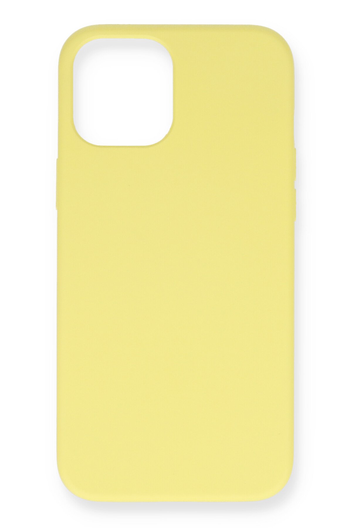 Newface iPhone 12 Kılıf Coco Deri Magneticsafe Silikon - Siyah