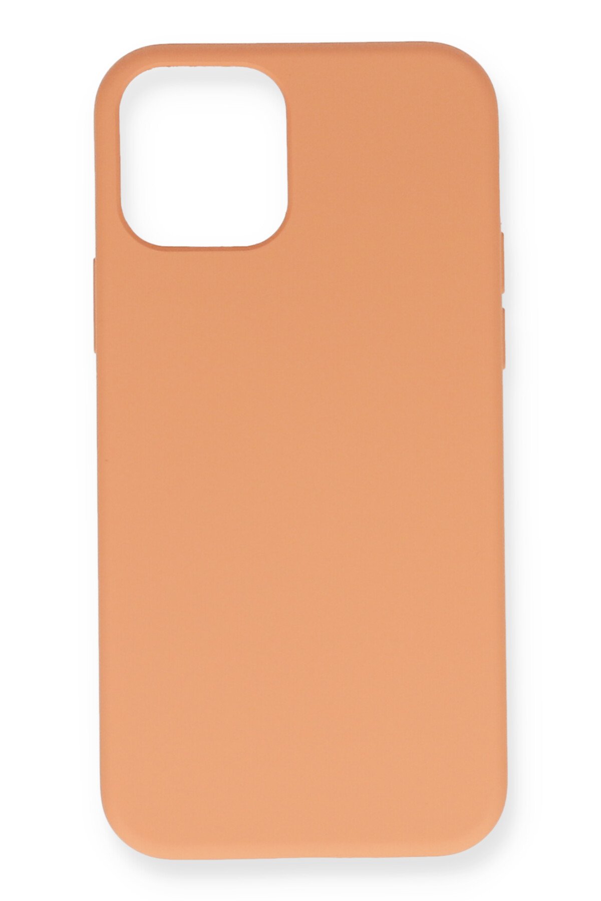 Newface iPhone 12 Mini 360 Mat Full Body Arka Koruyucu