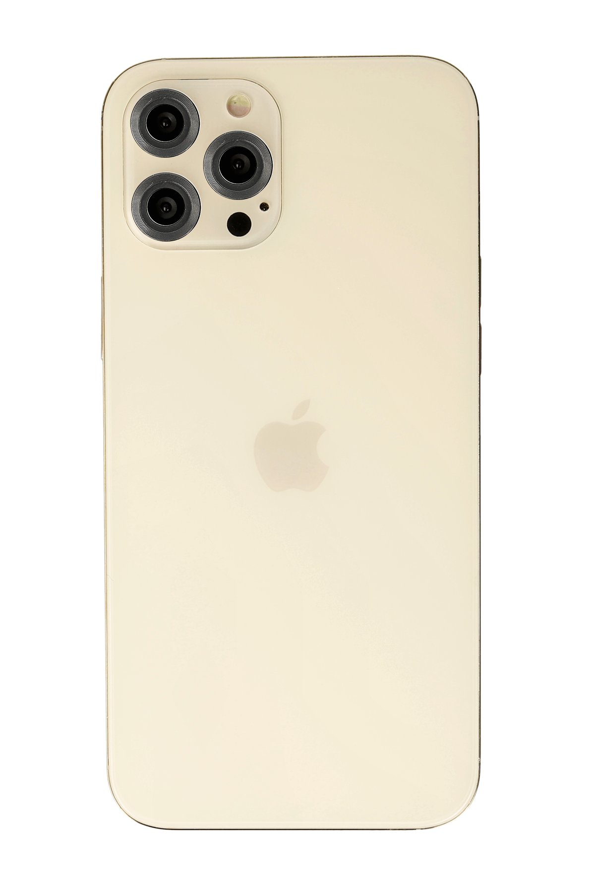 Newface iPhone 12 Pro Max Kılıf Coco Deri Silikon Kapak - Siyah