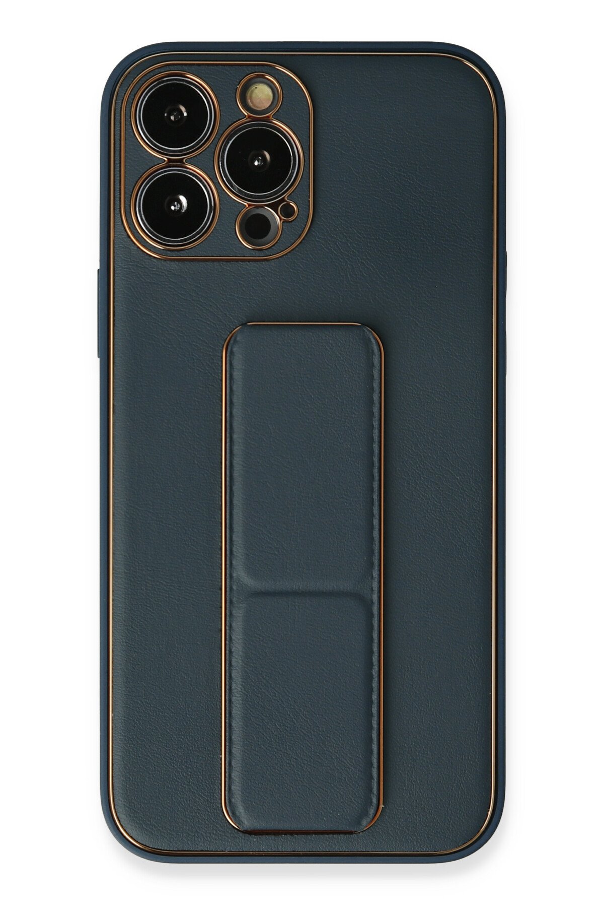 Newface iPhone 13 Pro Max Kılıf Snake Kapak - Sierra Blue